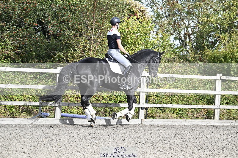260704A-125403-15290 - Cls 33 Snr Fox Second Round