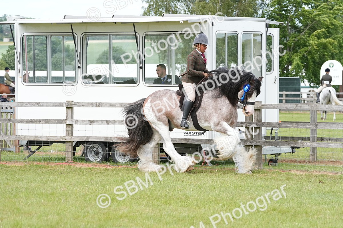 SBM_17661 - Class 107-108 - LIHS BSPS Performance Coloured Horse Pony