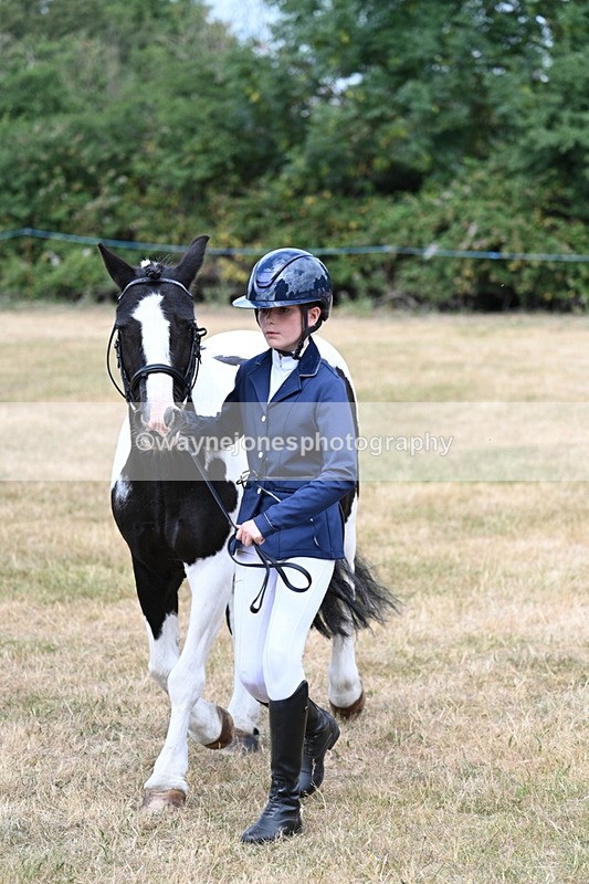 WJ7_1690 - Class 4 Prettiest Mare up to 14.2hh in hand