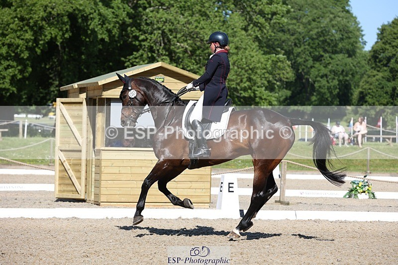 230526-094451-05155 - 357-VIVENDI_HERO-Saffron_Cresswell-WEDTrotUp+DR
