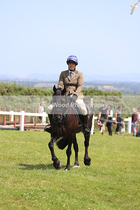 JPP_2527 - Class 21: Working Hunter 60cm