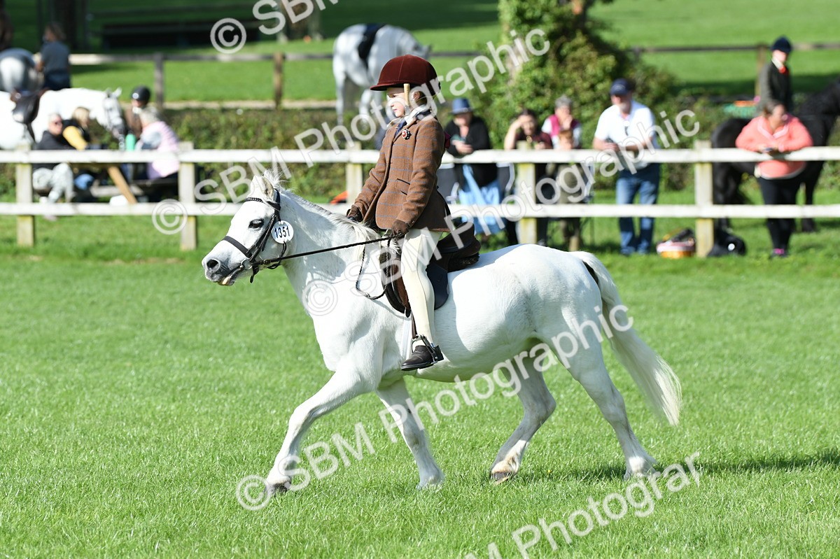 SBM_50393 - S21 - Novice & Newcomers 1st Ridden Pony