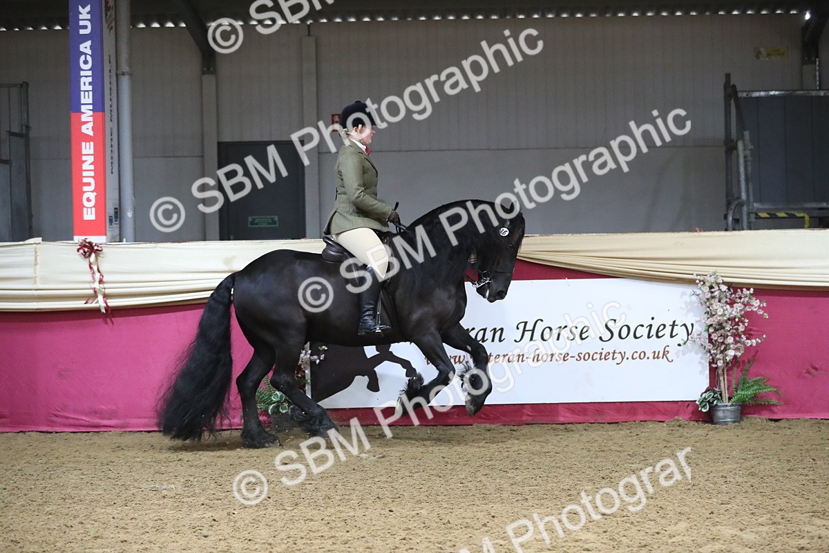 SBM_10363 - Class 102 Equitation (best rider) Adult