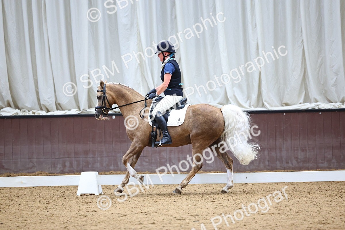 SBM_005584 - Elementary 2