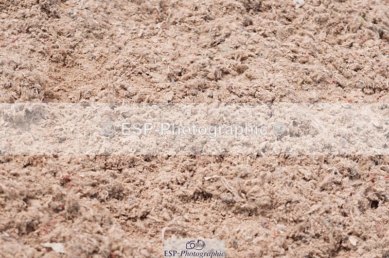 250608-131148-02839 - Cls 9 Pony Newcomers and 1m