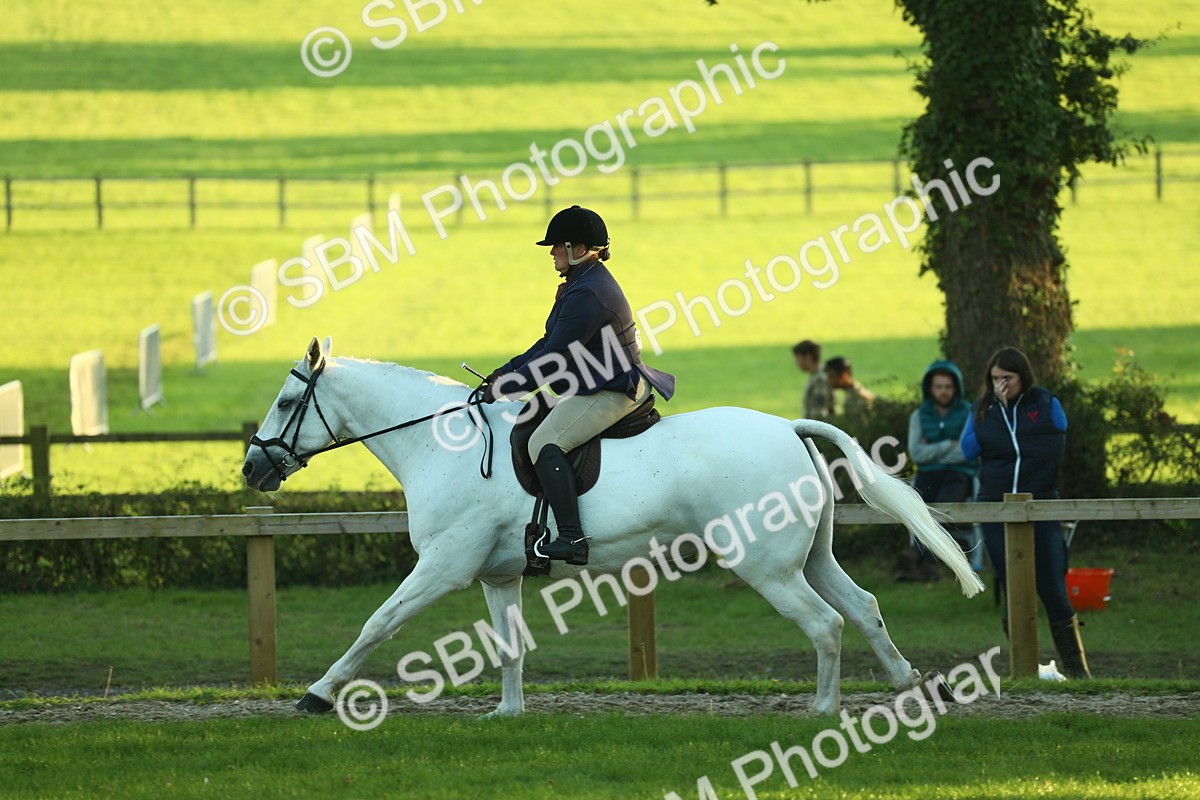 SBM_56438 - S14 - Riding Club Horse