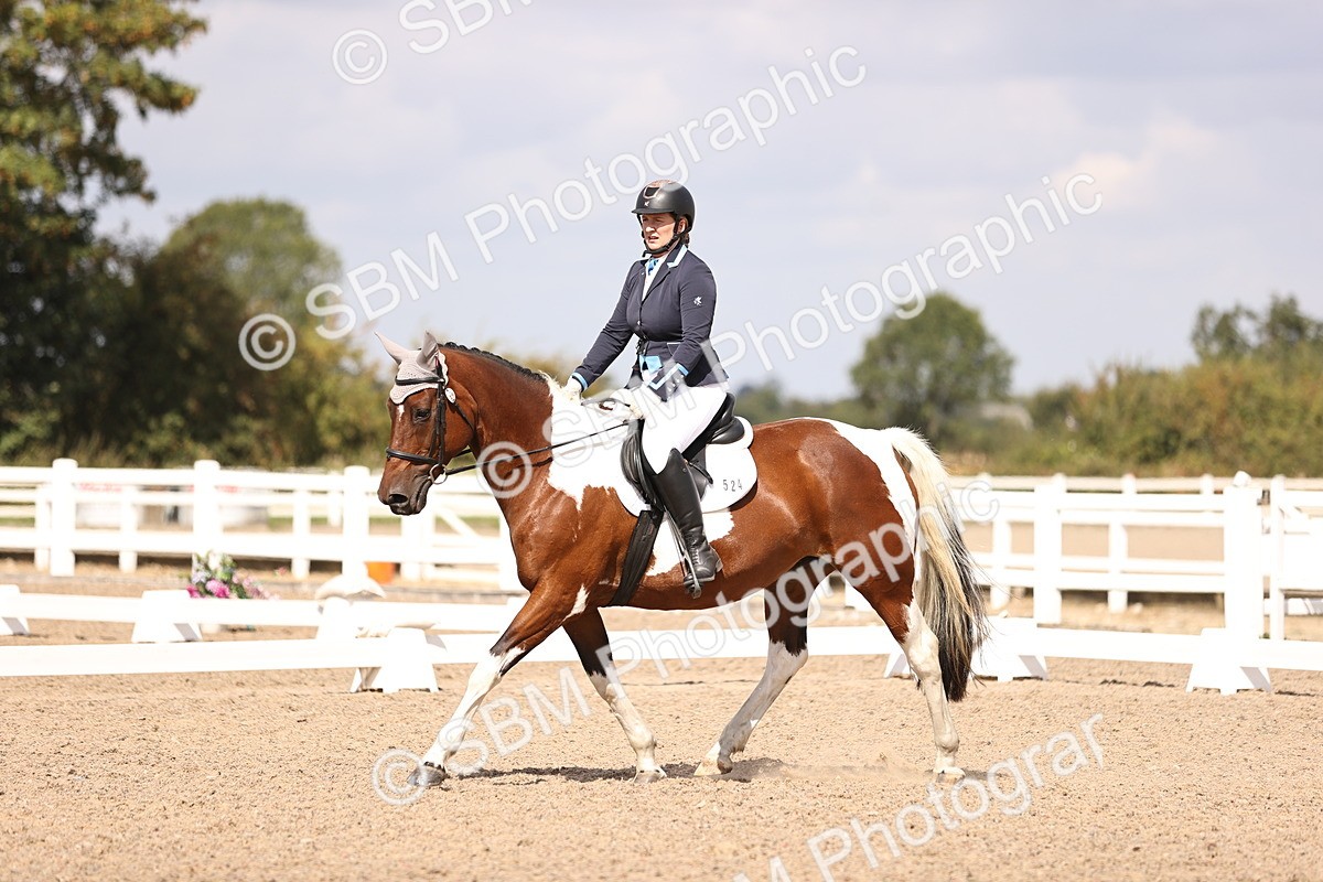 SBM_03722 - CLass 35 Intro 3