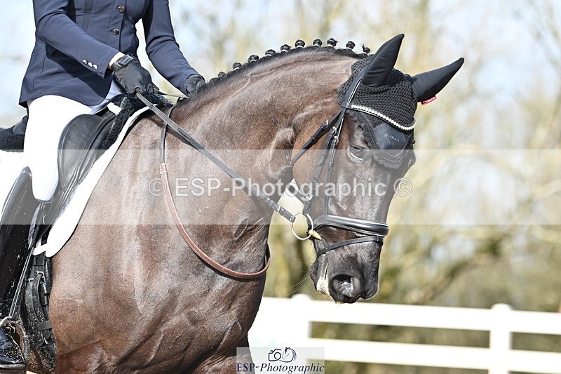 240218A-115613-06913 - 204-Elder.Klatzko-Dynasty.Hit