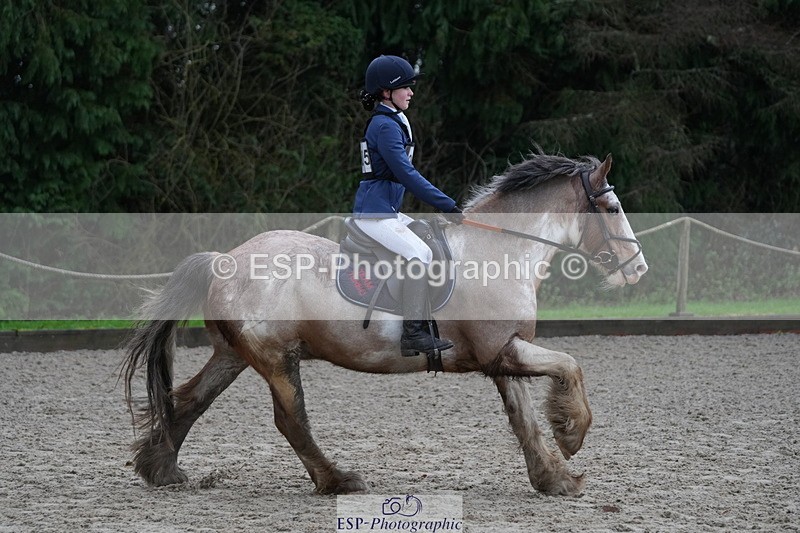 260208A-102623-01443 - 2. 80cm - 85cm