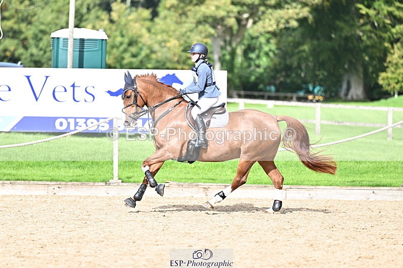 251005A-140012-04247 - Cls 09 Nov 80-85cm