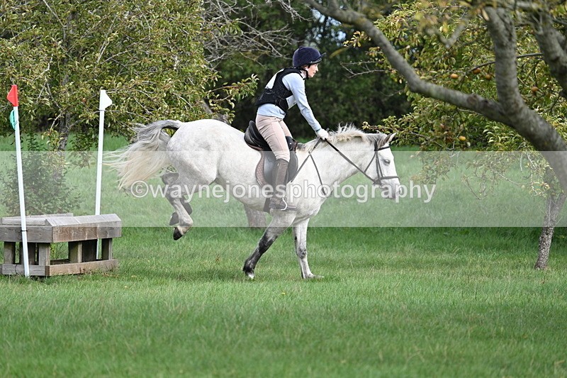 WJ7_8430 - 60cm Pairs