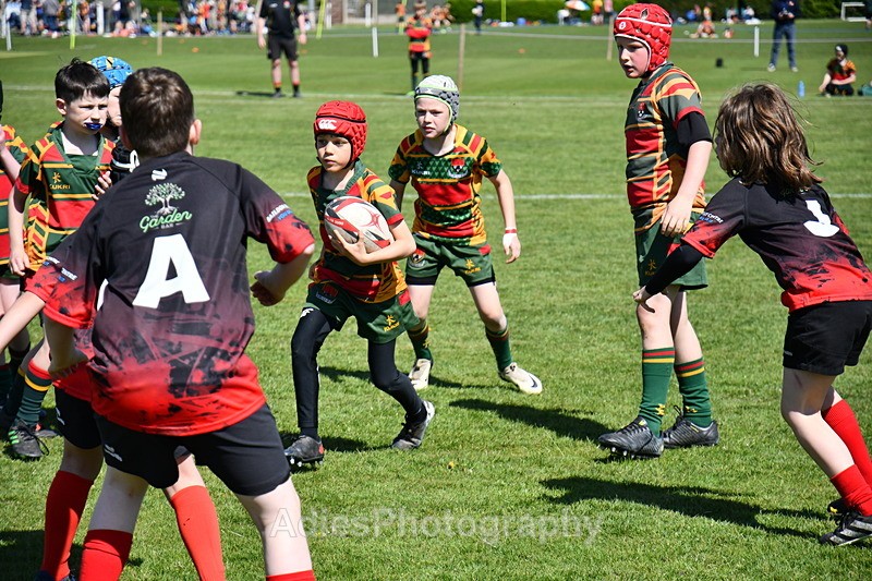  - Selby Rugby Festival 2025