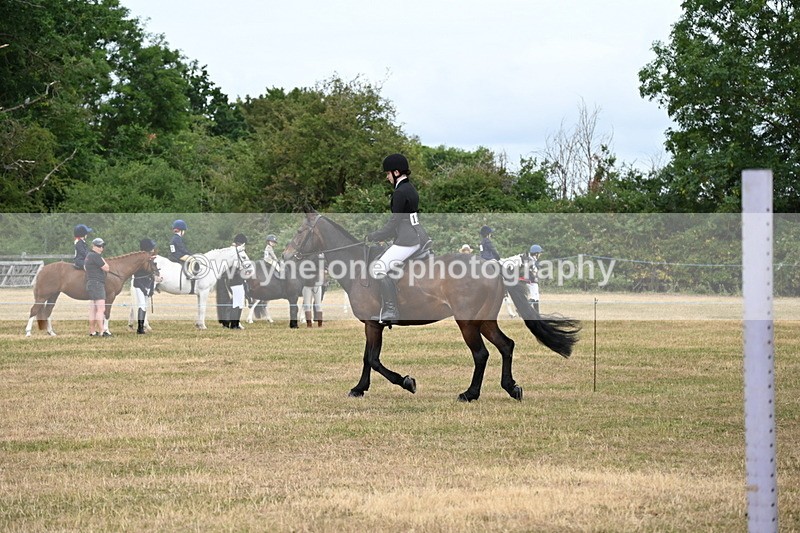 WJ6_3965 - Class 9 Tack & Turnout