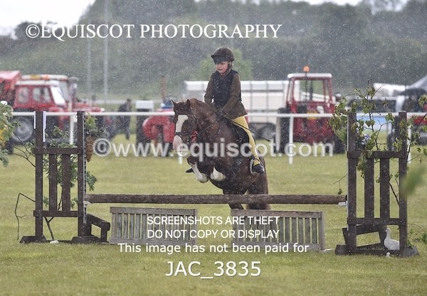 JAC_3835 - 65cm WORKING HUNTER
