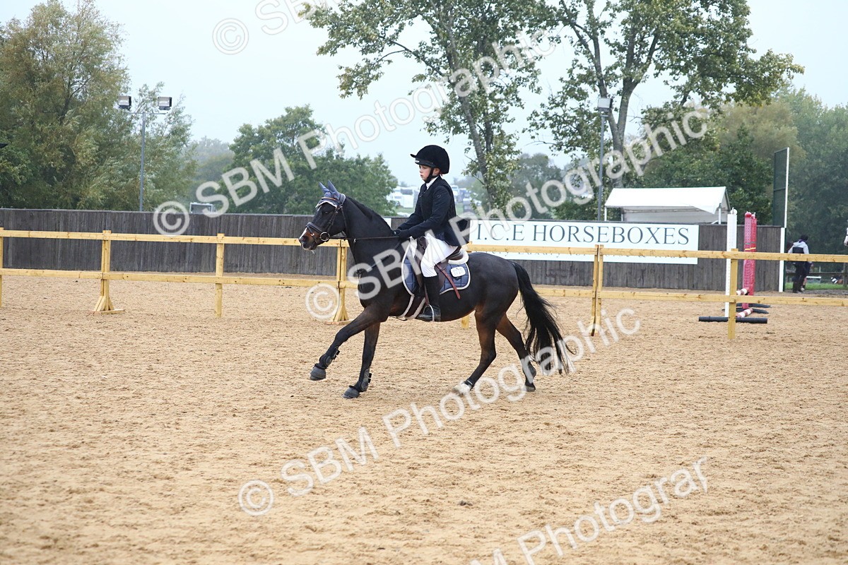 SBM_71788 - J4 - Mini Tour Junior Pony 45cm Championship
