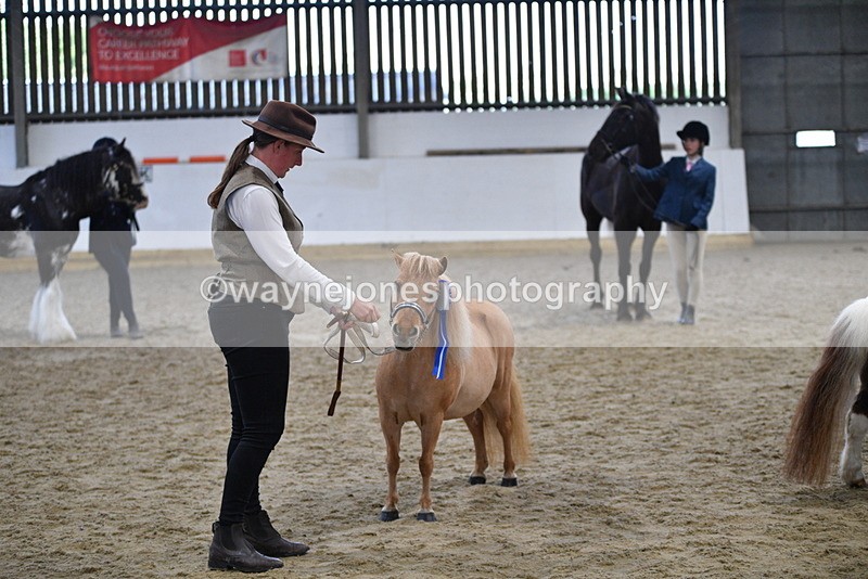 WJ5_5147 - Class 7 In hand coloured / odd coloured