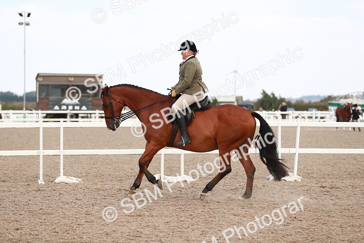 SBM_15507 - Class 213 Ridden Hunter -Large