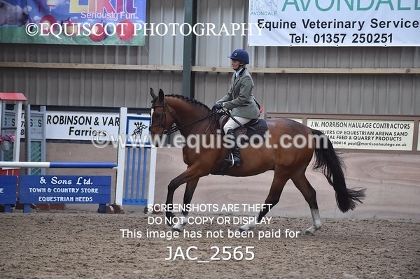 JAC_2565 - CLASS 3 Intermediate Working Hunter