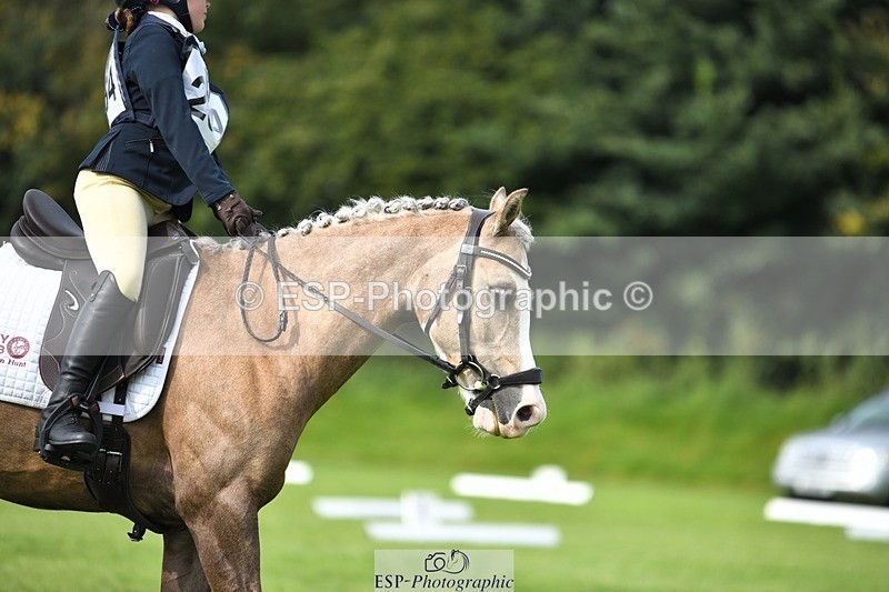 230826-102400-15462 - Sections C & D 10 to End