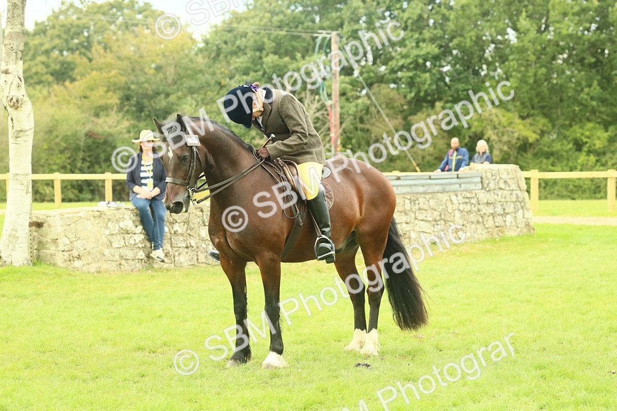 SBM_72010 - S60 - Mountain & Moorland Ridden Large Breeds