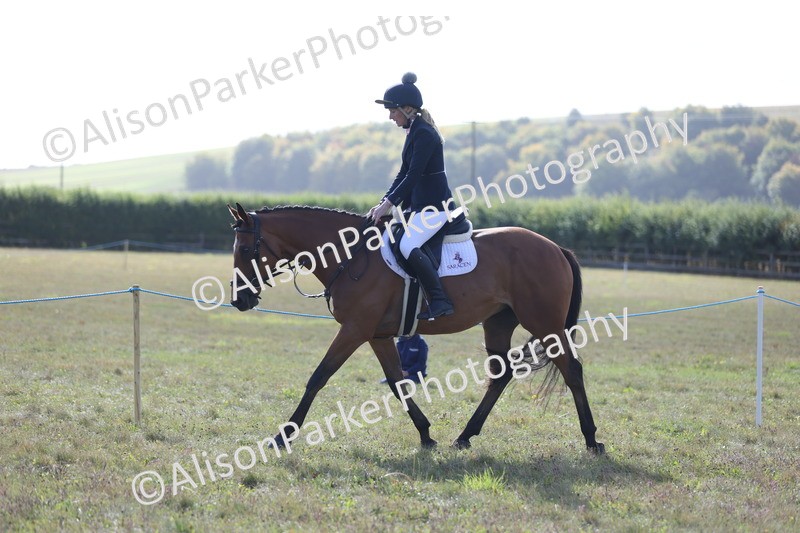20250831-0867 - Class 14 - Ex Racehorse