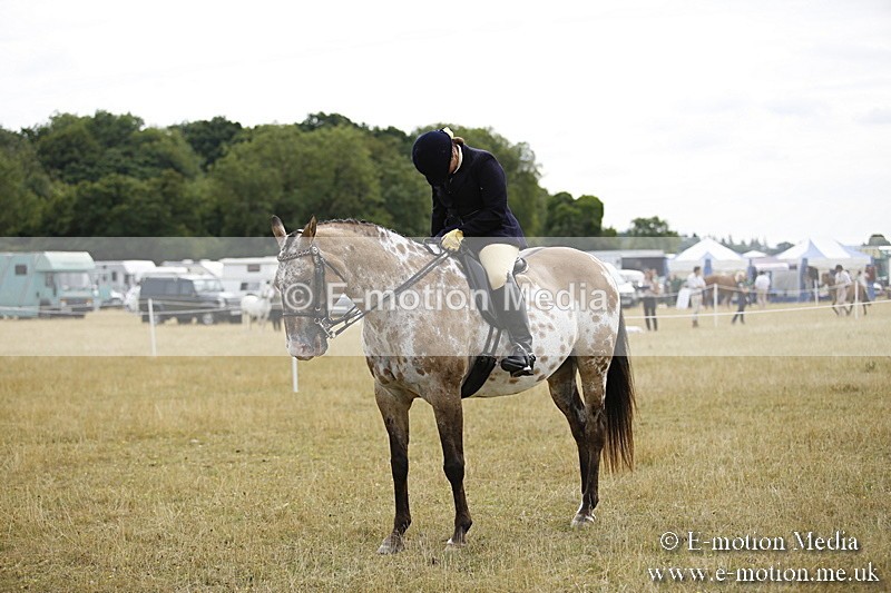 _C7A9535 - BVRC Show 2018 Ring 1