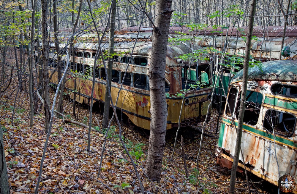 Trolley Graveyard | Hillside View - The Trolley Graveyard