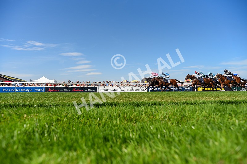 120826-Race 3-Sir David-6361 - Race 3 15.15pm Clearanswer Call Centres Handicap