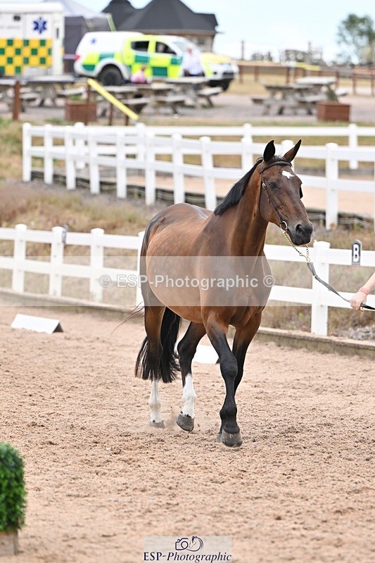 250716-140504-00898 - Trot Up 1.30 to 2.30