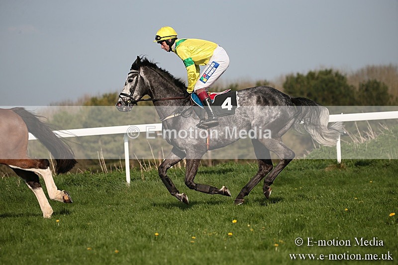PtP 210418 596 - South & West Wilts Point-to-Point Larkhill 21/04/18