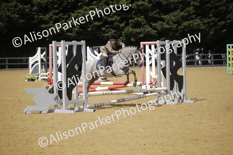 20250622-3845 - 50cm