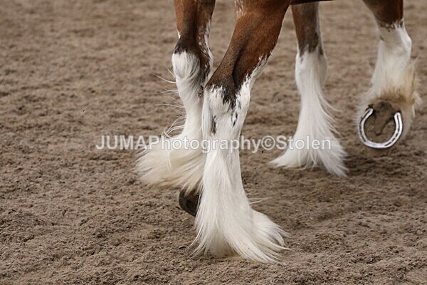 SIAL2473 - Sunday 14th Ridden