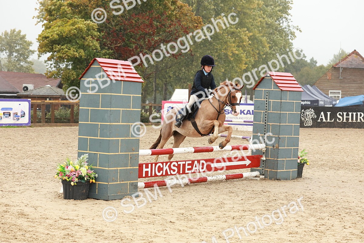 SBM_73344 - Supreme Championship Junior Pony 60cm & 65cm