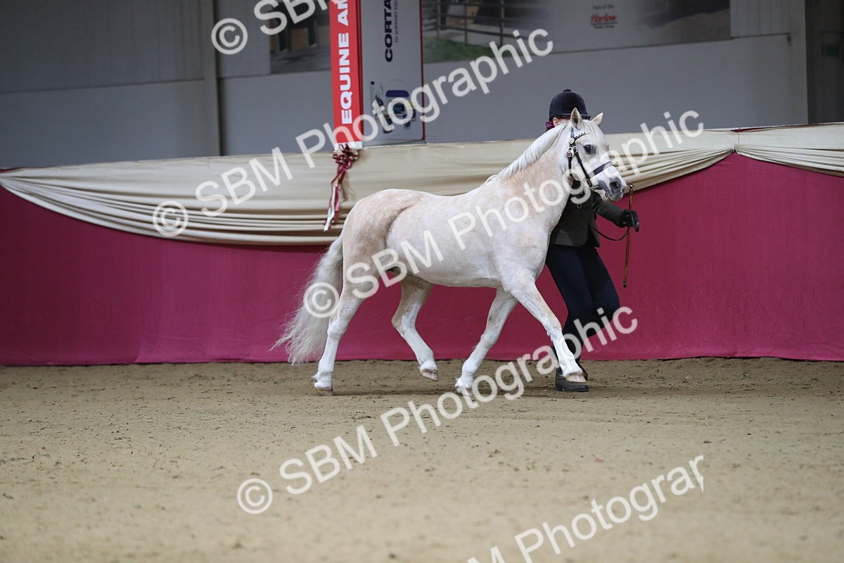 SBM_00196 - Class 1a - Area IH Diamond
