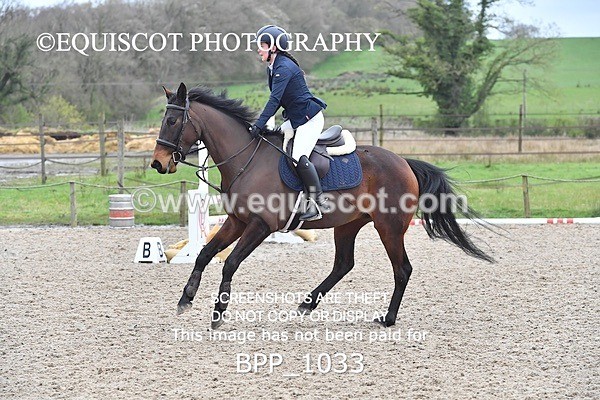 BPP_1033 - CLASS 2 Club/ Unaffiliated 80cms Open