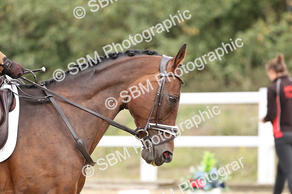 SBM_018291 - Class 16 - Novice 5 - 11.12-12.01