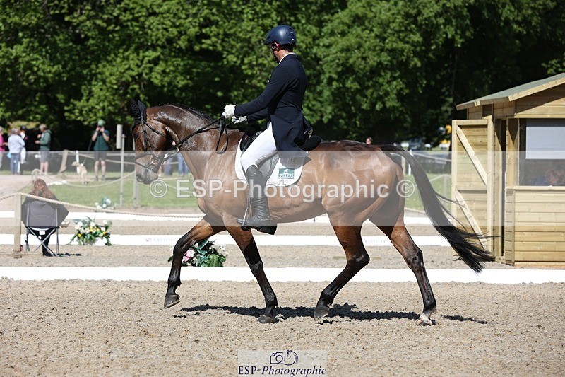 230526-101830-05229 - 360-NO_RUSH_ONE-Marcio_Carvalho_Jorge-WEDTrotUp+DR