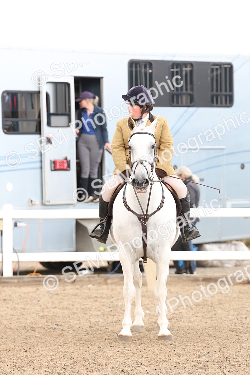 SBM_07504 - Class 59a -  Style & Performance - 80cm (15-19)