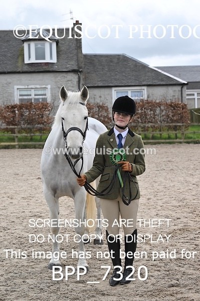 BPP_7320 - RING 1  (RIDDEN HORSES / IN HAND / VETERAN ETC)