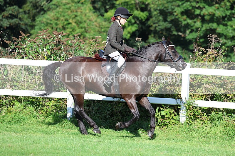 3E7A7589 - Class 1: Novice Working Hunter Pony