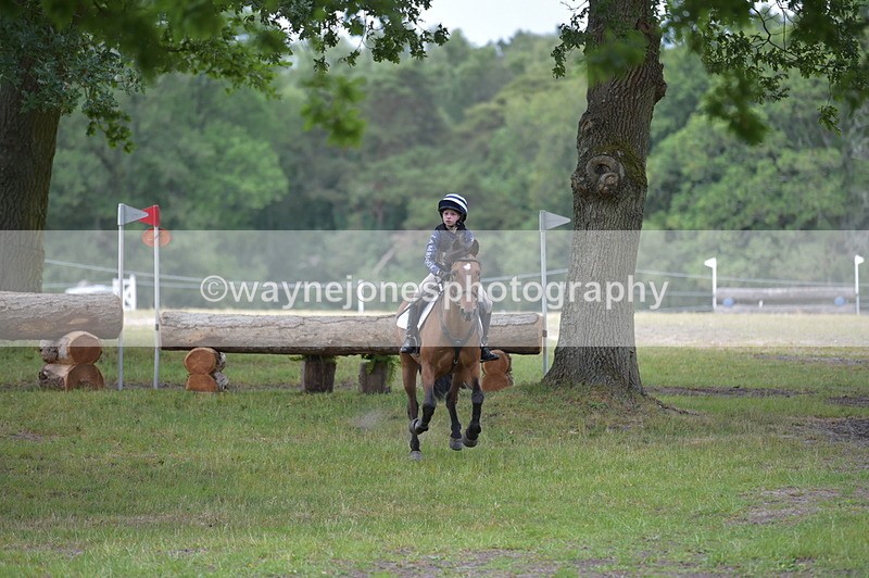 NGP_9162 - Time 12:34 to 12:37