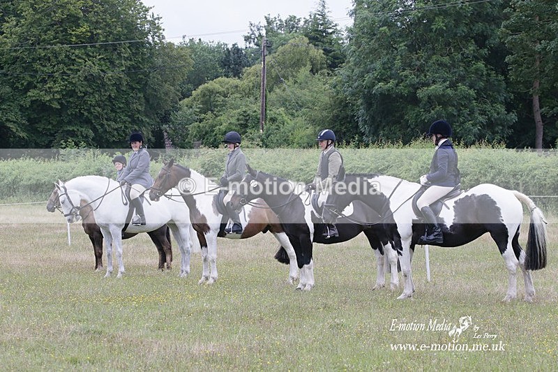 BVRC 030721 788 - Bourne Valley Riding Club Dressage 03/07/21