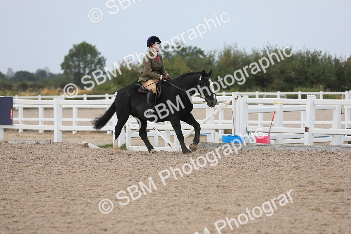 SBM_16873 - Class 314 Family Horse/Pony