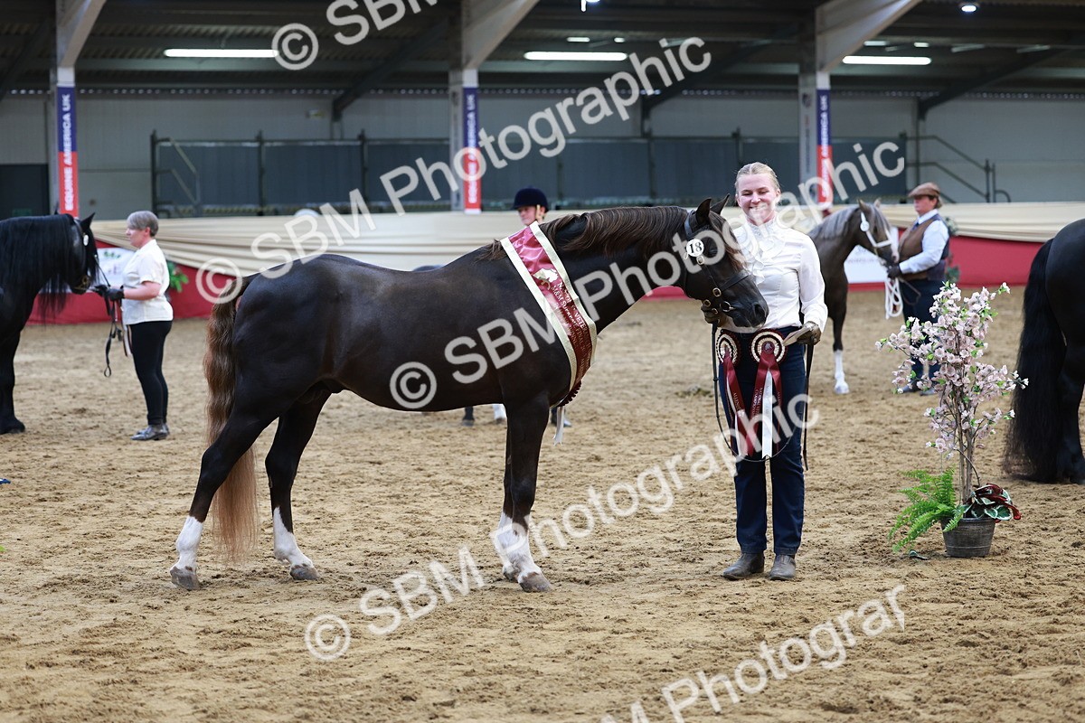 SBM_17609 - Class 951 - M&M IH Supreme Final