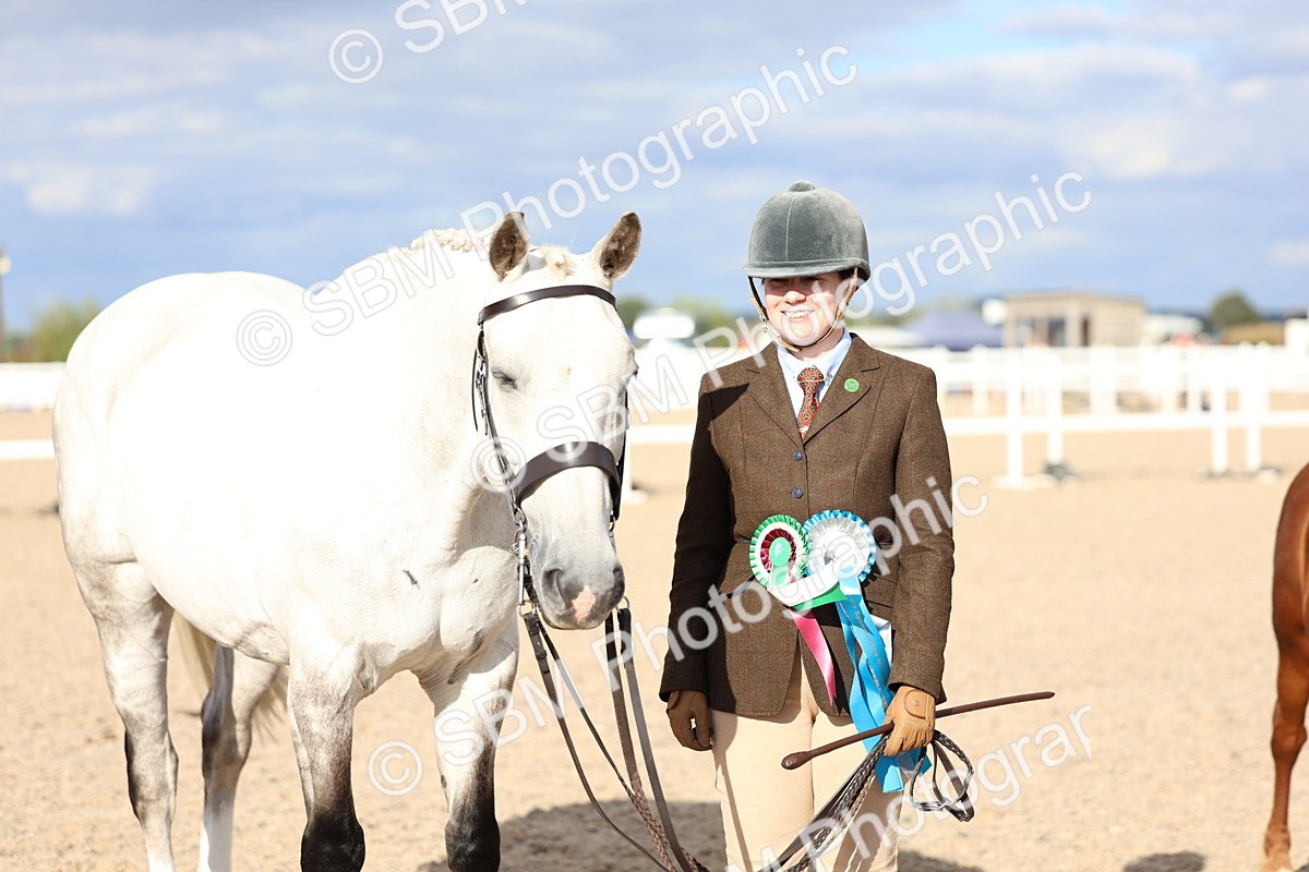 SBM_18793 - Class 317 - IH Pure Bred Horse-Pony