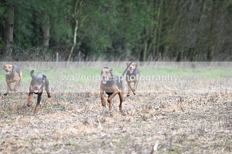 WJ6_9430 - Line Four