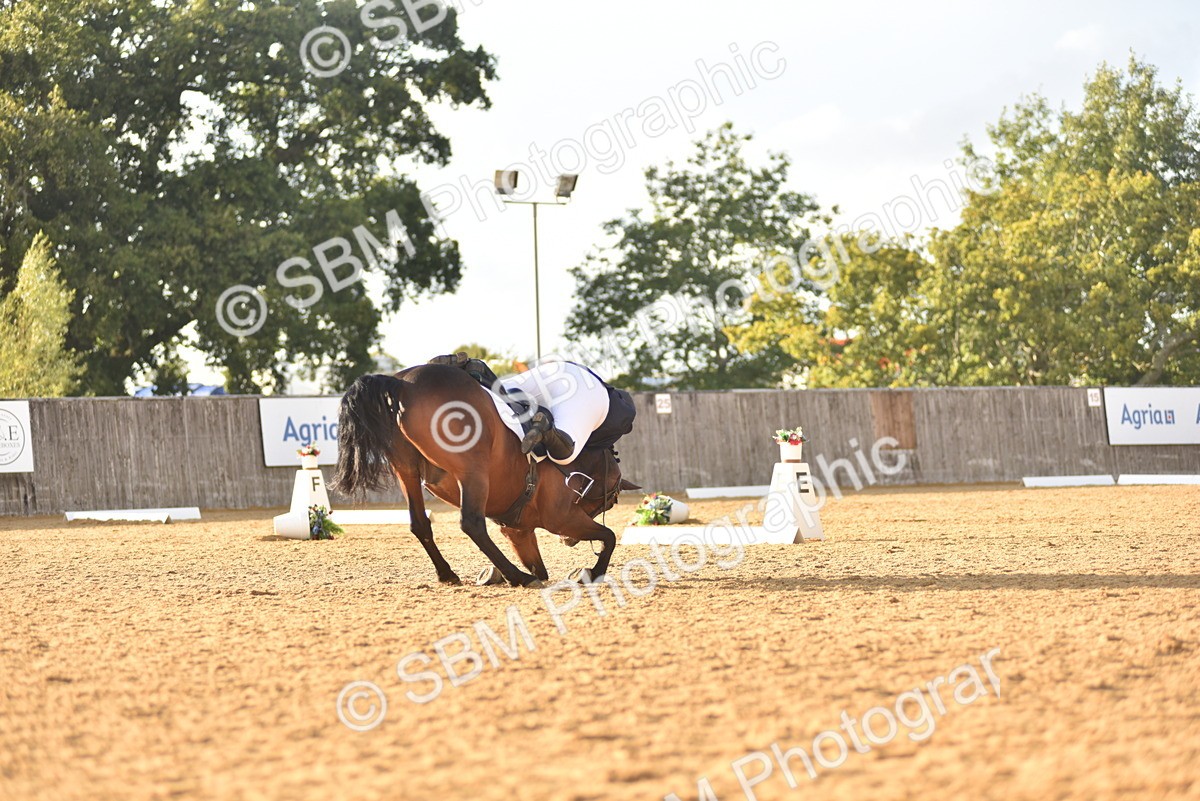 SBM_29796 - D16 -Small Tour Championship Novice 2