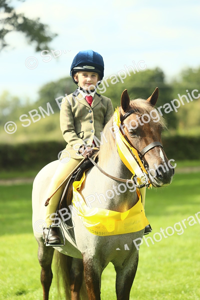 SBM_44967 - Working Hunter Pony Supreme Championship