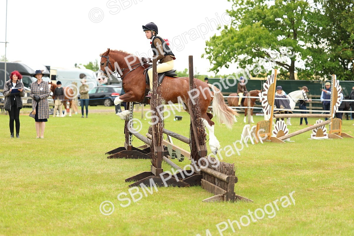 SBM_10357 - Class 44-45 - LIHS BSPS Open Nursery and Cradle Stakes