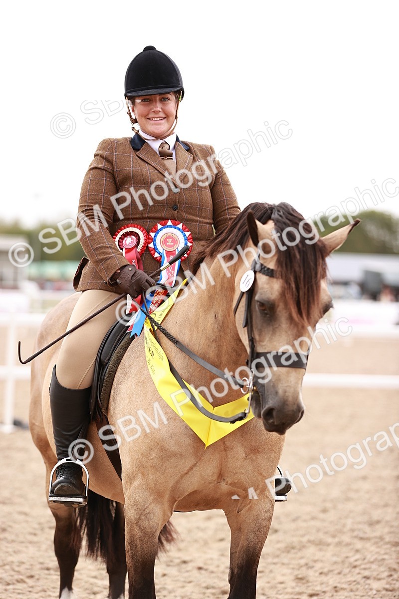 SBM_19085 - Class 422 - Ridden M&M